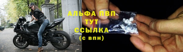 стафф Вяземский