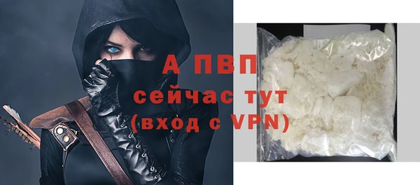 стафф Вяземский