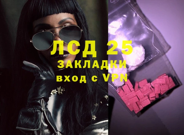 стафф Вяземский
