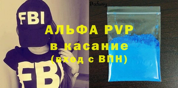 стафф Вяземский