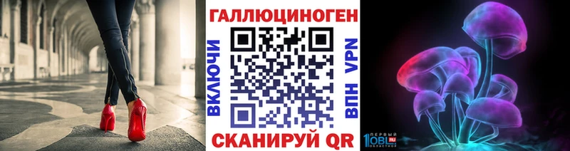 закладки  Уссурийск  Галлюциногенные грибы мицелий 