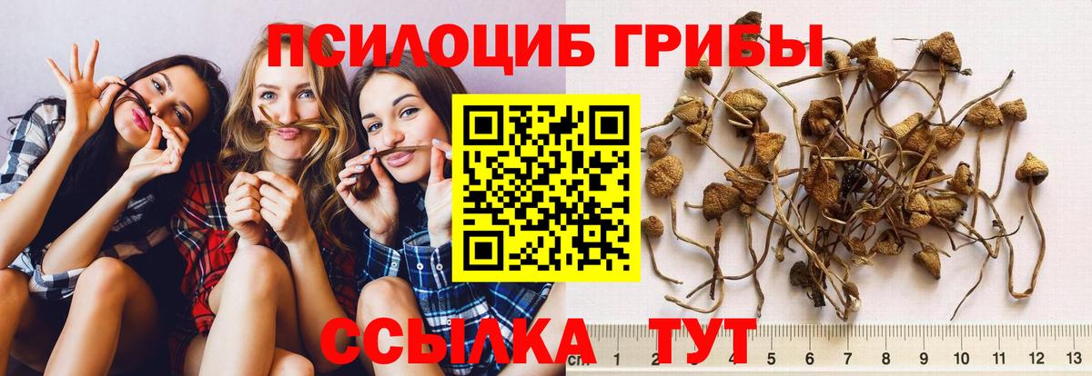 Галлюциногенные грибы GOLDEN TEACHER  Вход с VPN  Уссурийск 