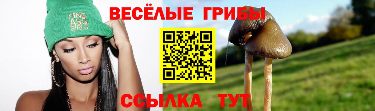 Галлюциногенные грибы Magic Shrooms Уссурийск